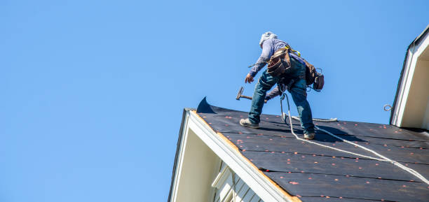 Best Roof Gutter Cleaning  in Wendell, NC
